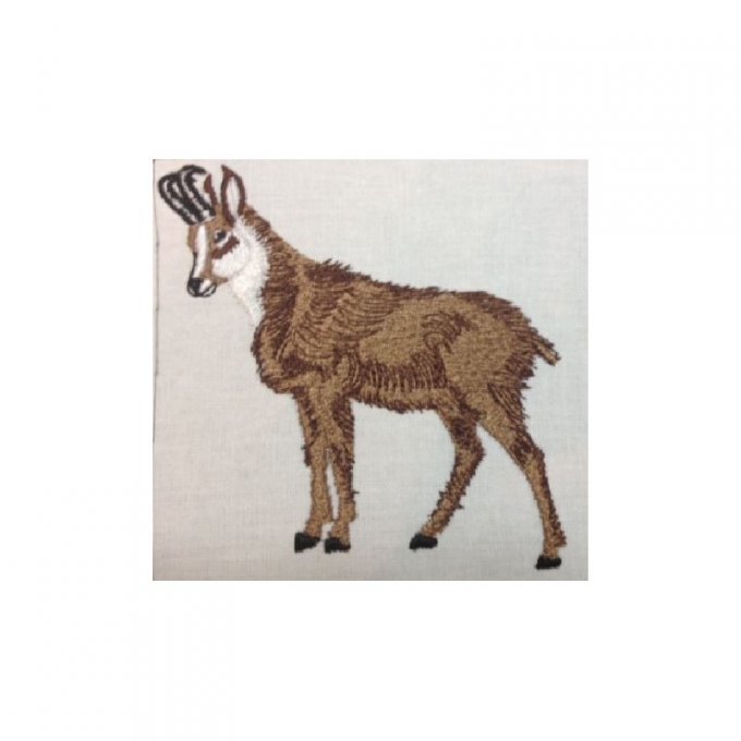 Le chamois