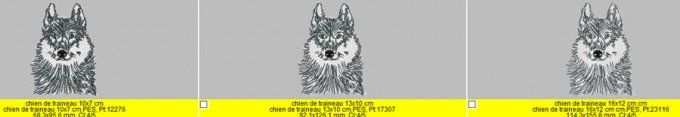 Chien de traineau