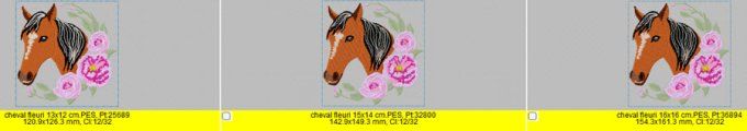 Le cheval fleuri