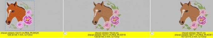 Le cheval crinière 3 D