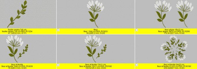 Fleur aux boules blanches