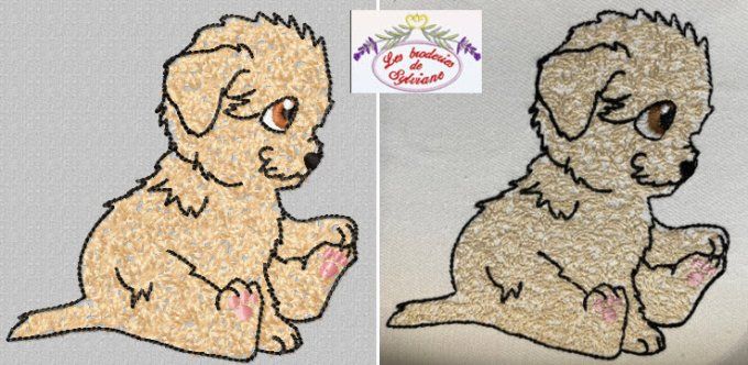 le chien poils frisés
