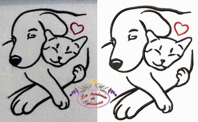 Chien - chat