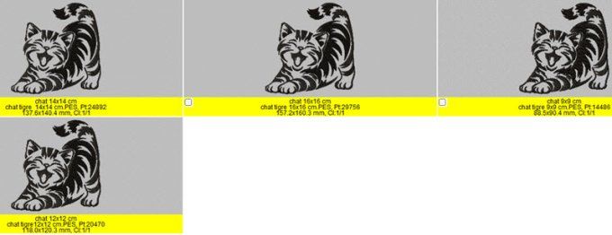 Le chat tigré
