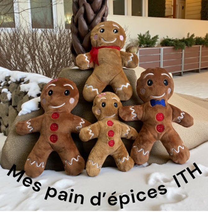 Pain d'épice ITH