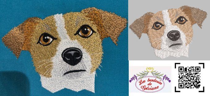 Le Jack russell terrier