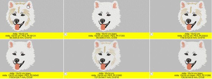 Le Akita Inu