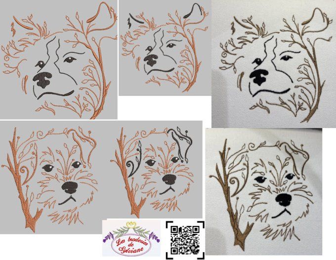 Série 1  les chiens feuillus