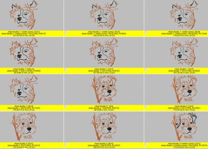 Série 1  les chiens feuillus