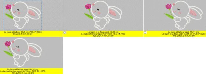 Le lapin et sa fleur