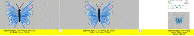 Papillon Géométrique 