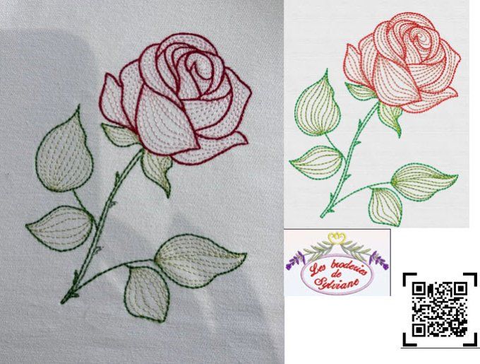 La rose  1 tout en finesse 