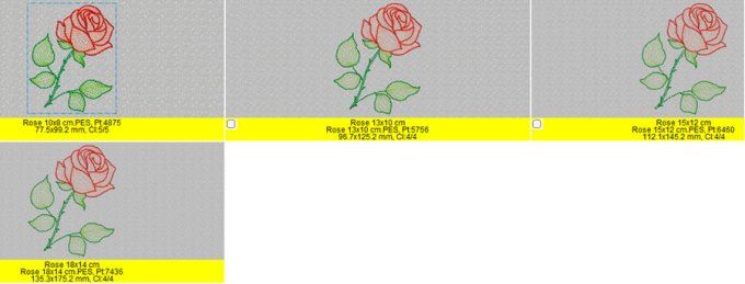 La rose  1 tout en finesse 