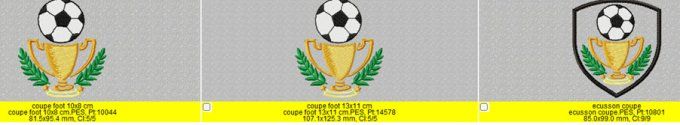 Ecusson coupe de foot