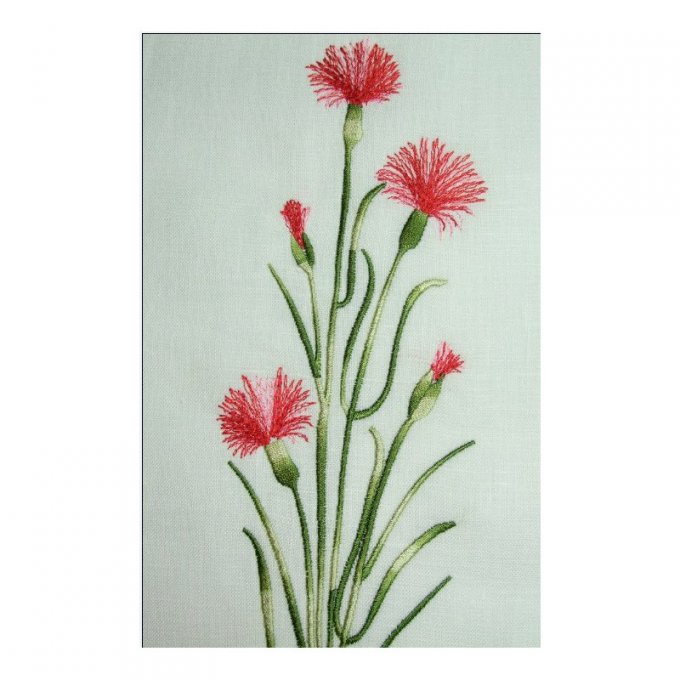 Bouquet d'oeillets