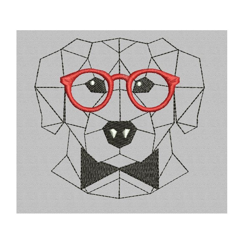 Le chien à lunette