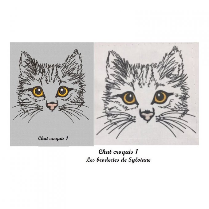 Chat croquis 1