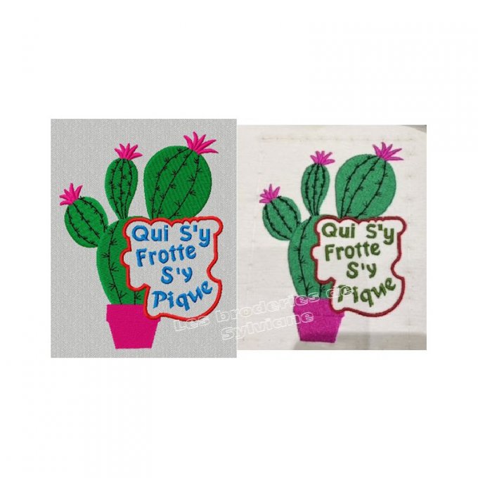 Le cactus message