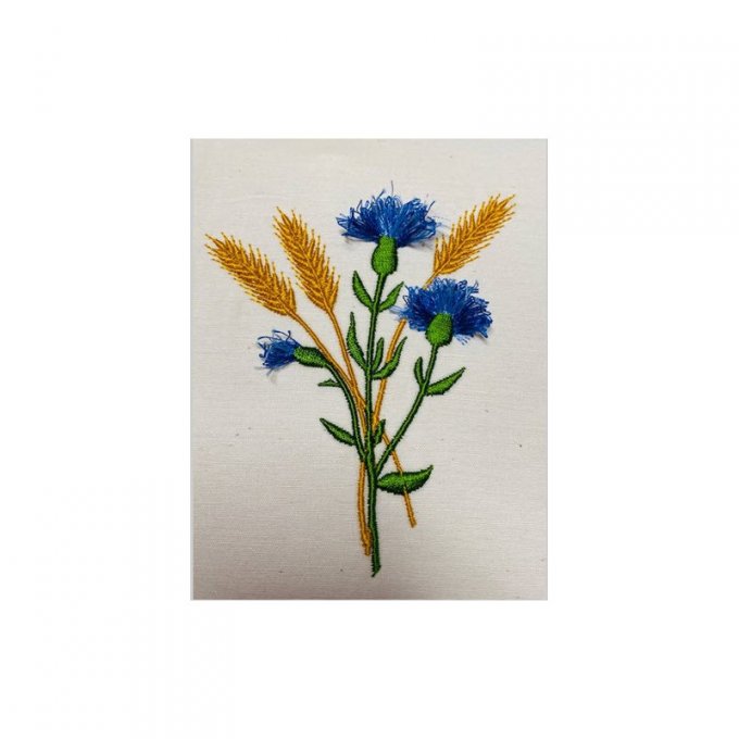 Le bleuet à frange et le blé