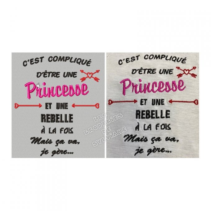 Texte princesse rebelle