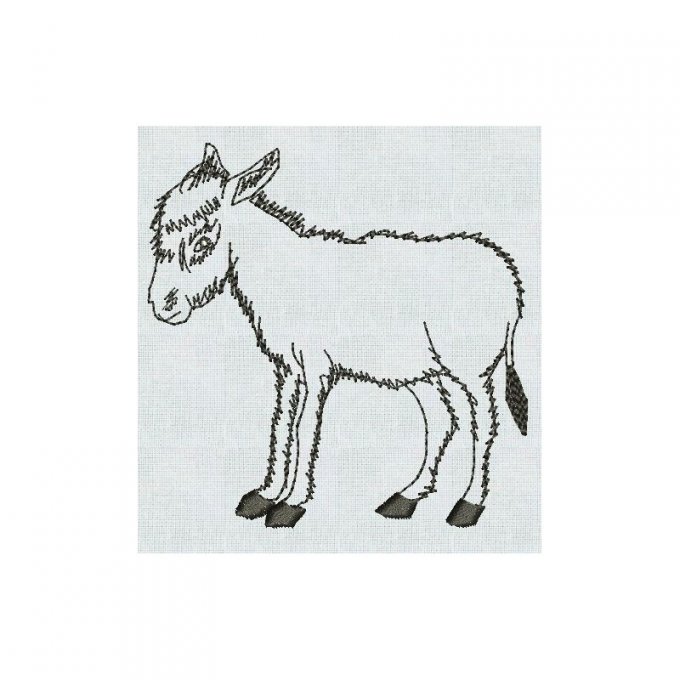 Ane