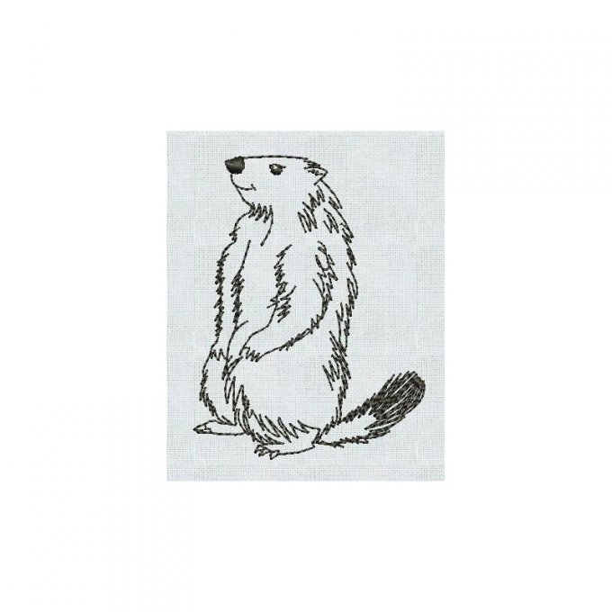 Une marmotte