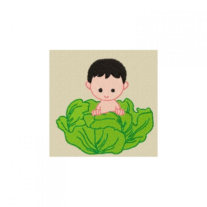Bébé sort du chou